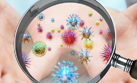 Maladies infectieuses